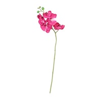 Dekoria Vetvička Orchid 65cm pink