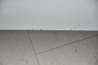 boot doors * rear part HONDA FR-V NH613M
