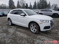 Audi Q5 Auto Punkt