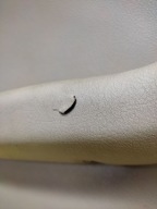 BMW E46 sedan upholstery door left rear part