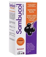 Sambucol Immuno Forte ekstrakt z owoców czarnego bzu 120 ml