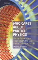 Who Cares about Particle Physics?: Making Sense
