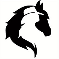 AUTÓMATRICA, AUTÓ, ABLAK - LÓ ÉS LOVAS KALAPBAN