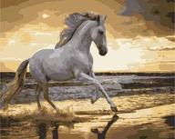 Obraz Paint it! Maľovanie podľa čísel. Kôň Koník na pobreží