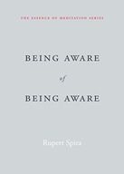 Being Aware of Being Aware: The Essence of