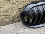 BMW 1 F40 707689516 Grille