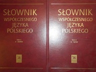 Słownik współczesnego języka polskiego 2 tomy -
