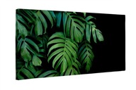 Obraz na płótnie Zielone liście monstera 120x50 cm