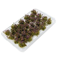 32x DIY Miniaturowy kwiat modelujący trawę Klaster kwiatów do dioram w