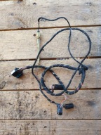 cablaggio PIN PEUGEOT 307 OE 13558811