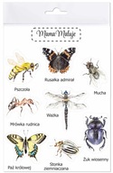 Nálepky veľké Hmyz 2, realistické maľované ilustrácie
