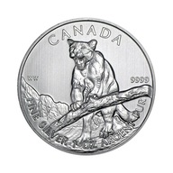 Moneta Zew Natury: Puma 1 uncja srebra