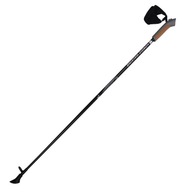 Kije Nordic Walking Titanium 105 cm /Sportech N