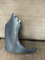 fender front RENAULT SCENIC III right left TERPA W colour