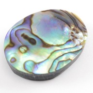 Paua Abalone kabošon cca 24x18 mm PERL0209