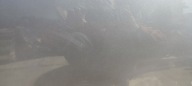 door right front right front RENAULT SCENIC IV 2016- ORG 801525727R
