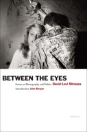 Between the Eyes: Essays on Photography and