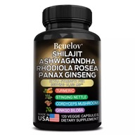 Shilajit Ashwagandha a Rhodiola Rosea, Panax Ženšen s vysokou odolnosťou...