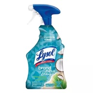 Lysol All Purpose Cleaner Úplne nový Day 946 ml.