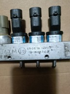 injectors BRC blue new typ cleaned ultrasonic 09SQ99020021