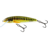 Wobler Salmo Minnow 6cm 6g Holo Real Minnow 1-1.5m