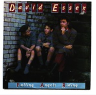 David Essex - Falling Angels Riding
