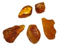 BURSZTYN BAŁTYCKI 5 SZT. 22 g jantar naturalny bryłka bryłki zestaw amber