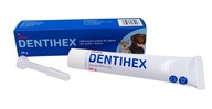 DENTIHEX 20g adhézna zubná pasta pre psa a mačku
