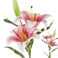 sztuczna lilia kwiat 60 cm premium