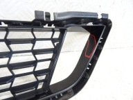 grid of a bumper front front central BMW 5 G30 G31 m-packet LCI