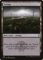 MtG: Swamp (V.1) (xCLB) *foil*