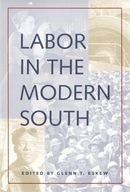 Labor in the Modern South group work