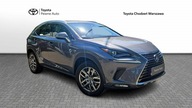 Lexus NX 300h 197KM ELEGANCE BUSINESS AWD