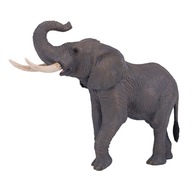 Africký slon - African Elephant - MOJO - 381005