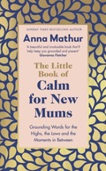 The Little Book of Calm for New Mums: Grounding