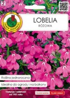 SEMENÁ LOBELIE LOBELIA RUŽOVÁ 0,1G PNOS