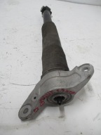 STOSSDÄMPFER AMOR RANGE ROVER EVOQUE II 1,5HYB L8D2-18A116 L8D218A145