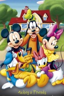 Myszka Miki i Przyjaciele - Disney Mickey Mouse -