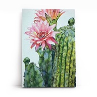 Obrazy Do Malowania Po Numerach z Ramą 20x30 cm Kaktus Zestaw Premium