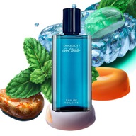 Pánsky parfum COOL WATER DOAIDOFF 125ml EDT