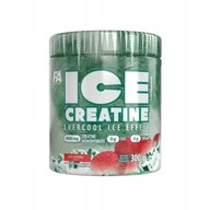 FA Ice Creatine 300g Monohydrate Kreatín