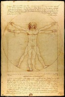 Leonardo da Vinci Anatómia človeka - plagát