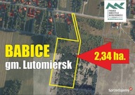 Działka, Babice, Lutomiersk (gm.), 23400 m²