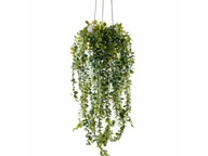 Umelá rastlina SENECIO, závesná, 60 cm