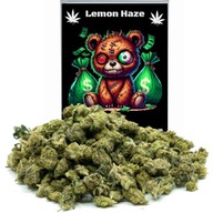 30 Gram LEMON HAZE CBD 49% Susz Konopny CBD MOCNY 30G Konopie Zioło Zioła