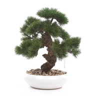 sztuczne drzewko BONSAI PINUS 37 sztuczne bonzai pinia sosna biała doniczka