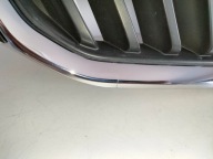 grille grid grill SKODA RAPID 12
