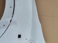 Dacia Dokker fender front left 260928639r