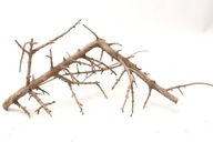 Naturalny Korzeń Drift Branch Bonsai do Akwarium Terrarium 25x14x11cm B8