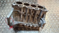 BLOK Motore POLBLOK XXGA FORD 1.5 TDCI